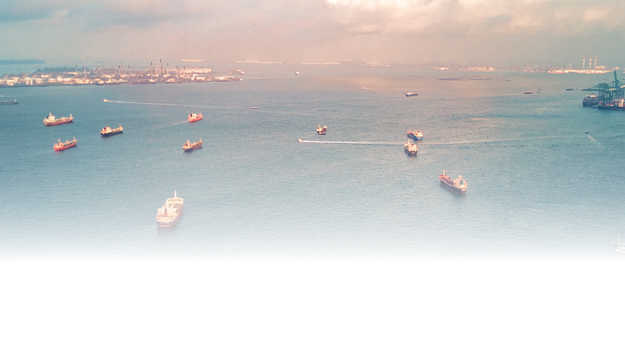 Several Cargo ships separatedly parked on the ocean area in the southern area of Singapore, in the picture, there is a cargo harbor for on and offloading containers.  The photo indicates the significant role that Singapore plays for the worldwide cargo distribution.  Photo taken on 14/08/2018 in Singapore by Drone device.